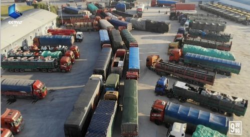 《颠簸货运路》 重庆山城的公路奇观与叙事中的货运人生