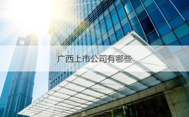 广西新进环保科技南宁分部及上市公司与道路普通货运概况